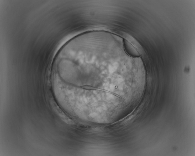 X0000092111052200710101139
