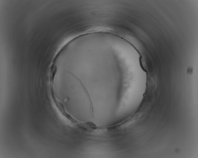 X0000092111055200710101139