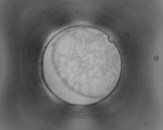 X0000092111056200710101139