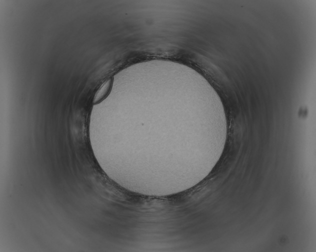 X0000092111058200710101139