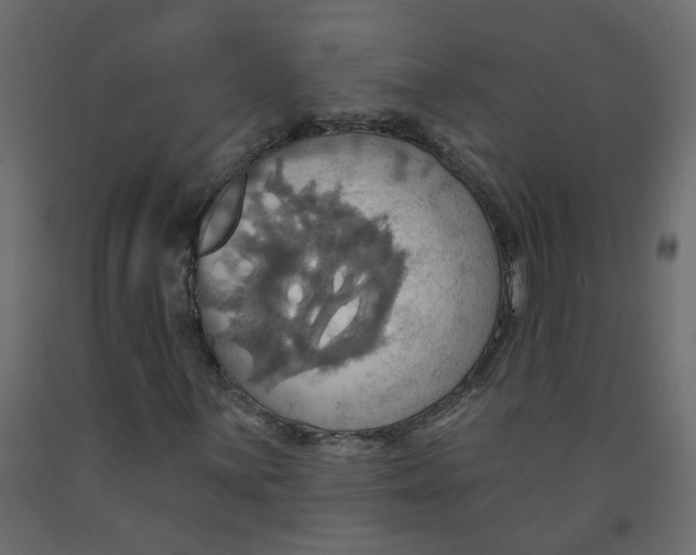 X0000092111059200710101139