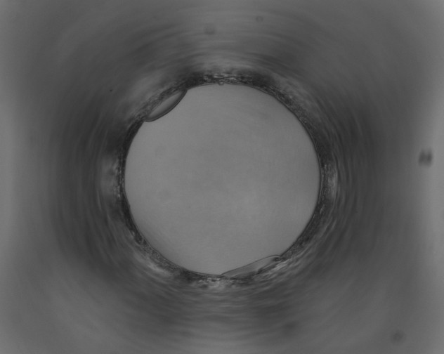 X0000092111060200710101139
