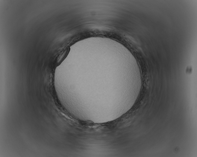 X0000092111061200710101138