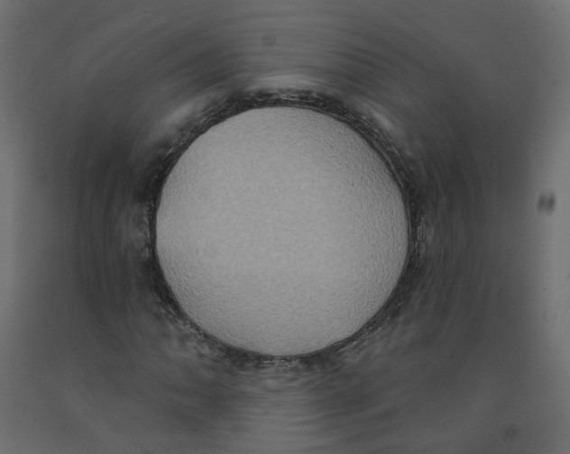 X0000092111062200710101138