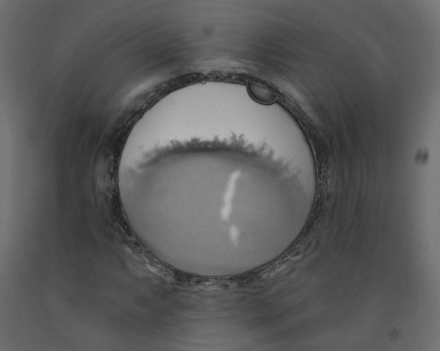 X0000092111063200710101138