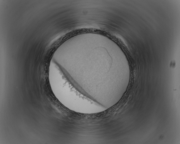 X0000092111064200710101138