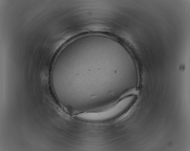 X0000092111065200710101138