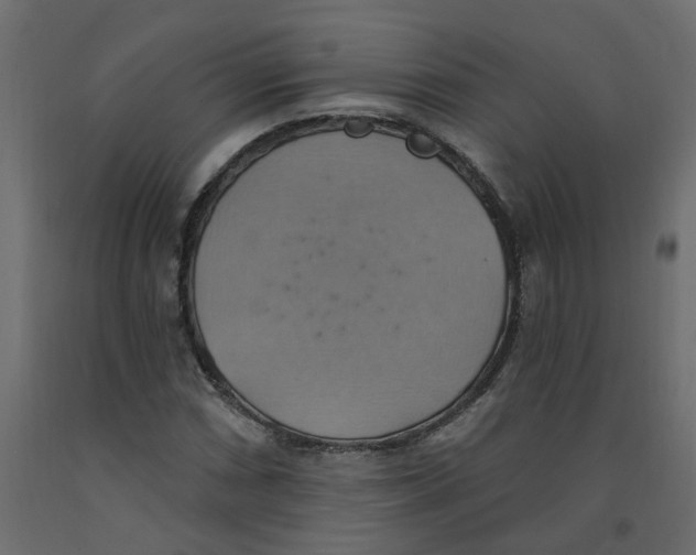 X0000092111066200710101138