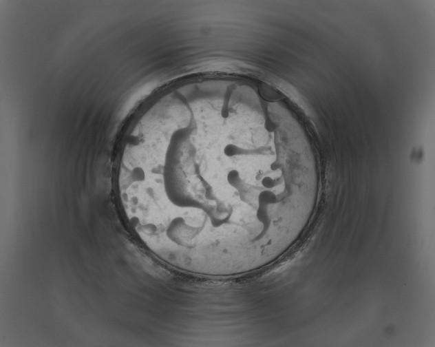 X0000092111067200710101138