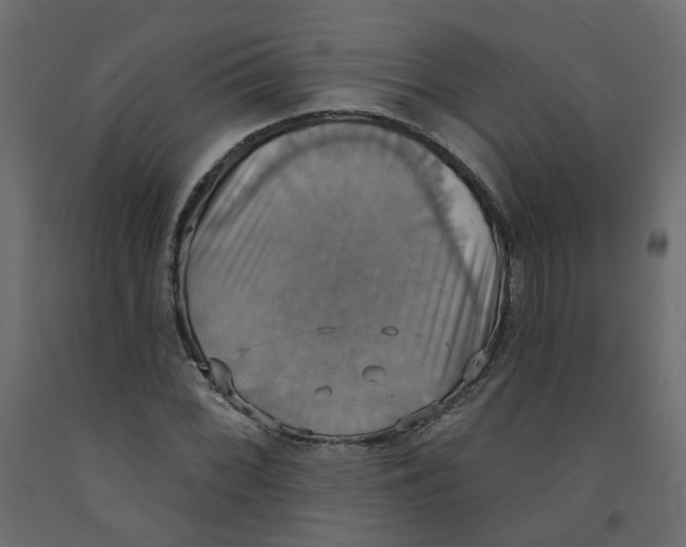 X0000092111068200710101138