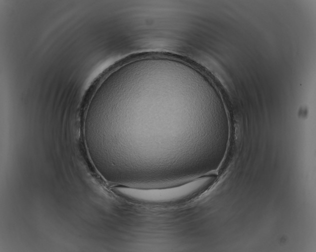 X0000092111069200710101138