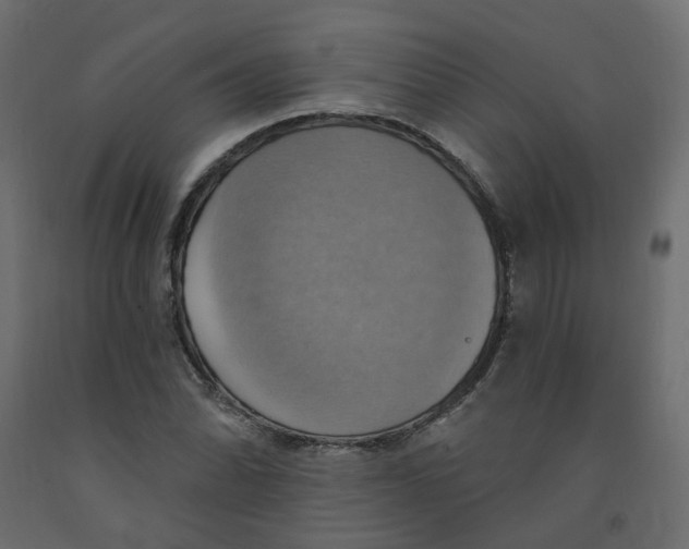 X0000092111070200710101138