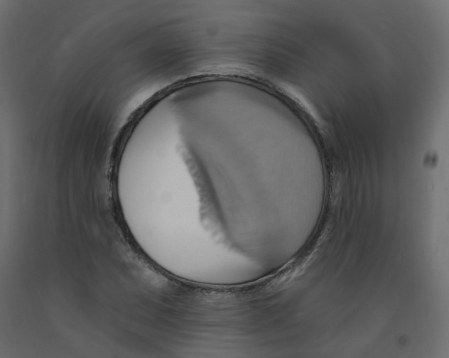 X0000092111071200710101138