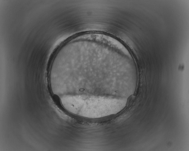 X0000092111072200710101138