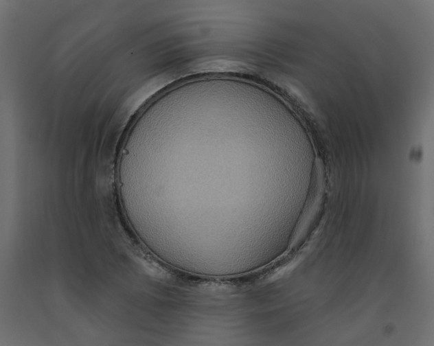 X0000092111073200710101138