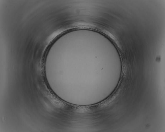X0000092111074200710101138