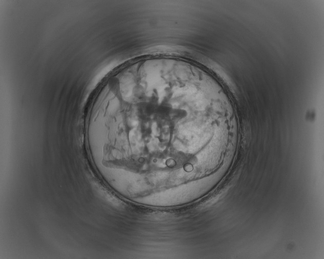 X0000092111075200710101138