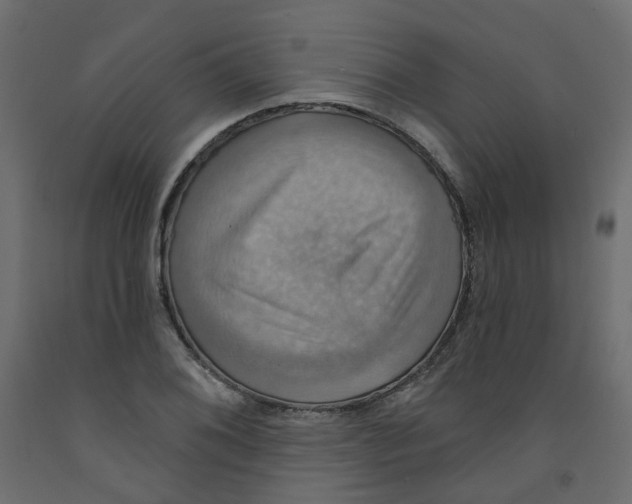 X0000092111076200710101138