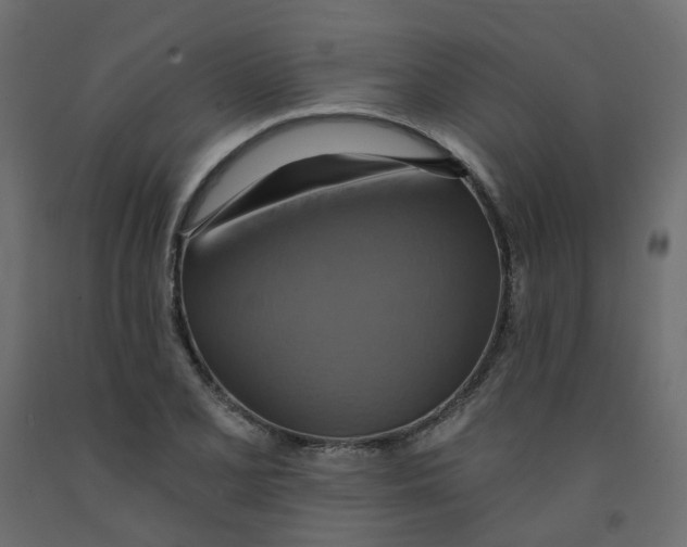 X0000092111077200710101138