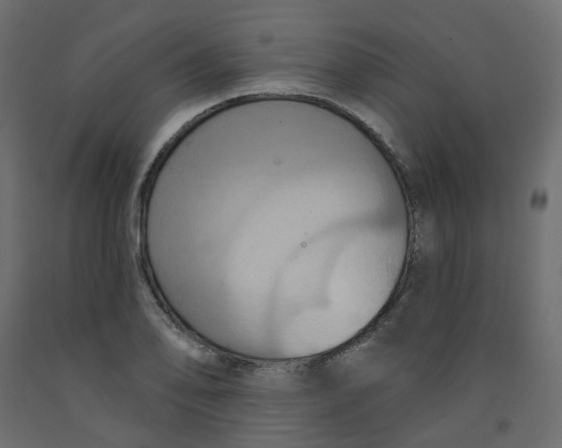X0000092111078200710101138