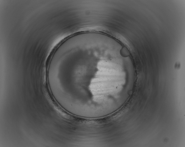 X0000092111079200710101138