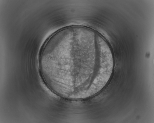 X0000092111080200710101138