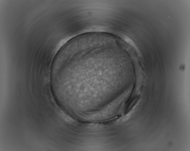 X0000092111081200710101138