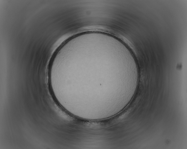 X0000092111082200710101138