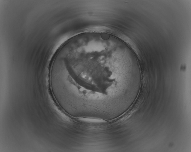X0000092111083200710101138