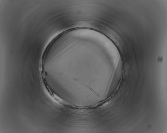 X0000092111084200710101138