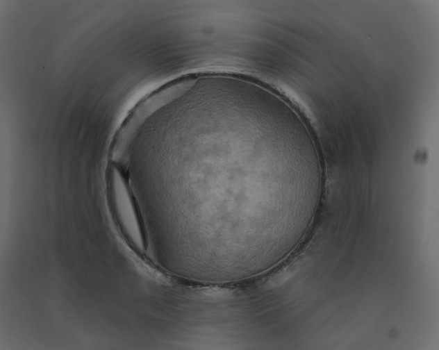 X0000092111085200710101138