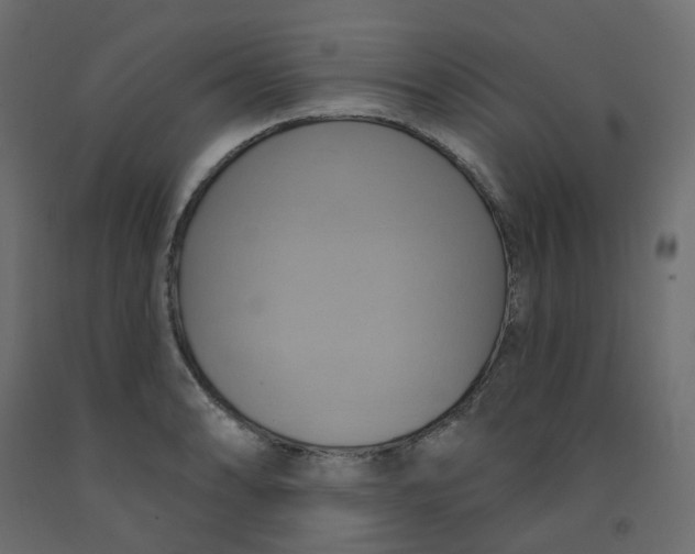 X0000092111086200710101138