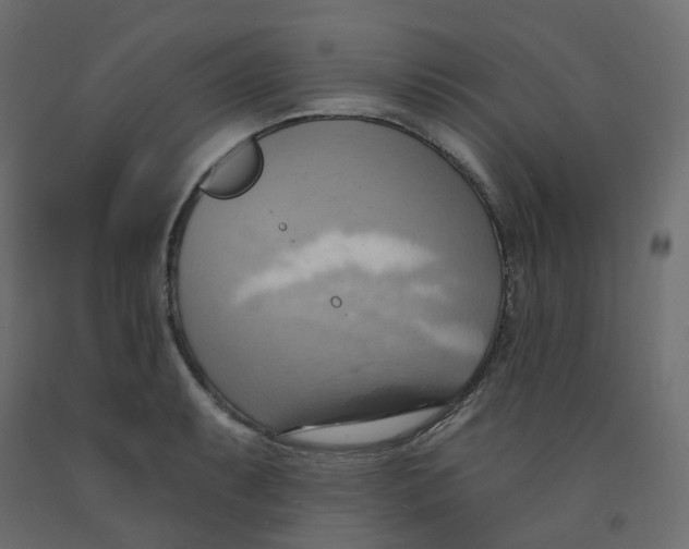 X0000092111087200710101138