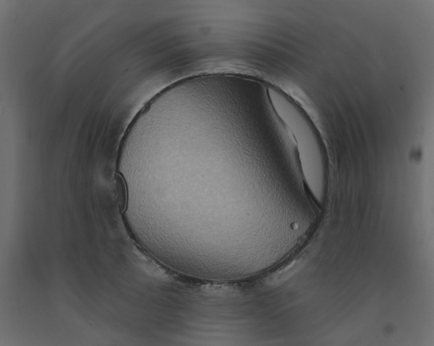 X0000092111089200710101138