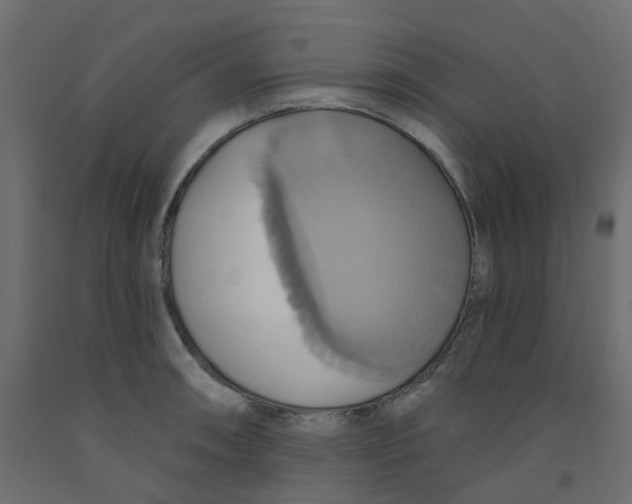 X0000092111090200710101138