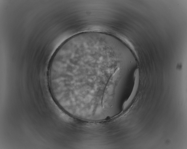 X0000092111091200710101138