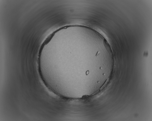 X0000092111093200710101138