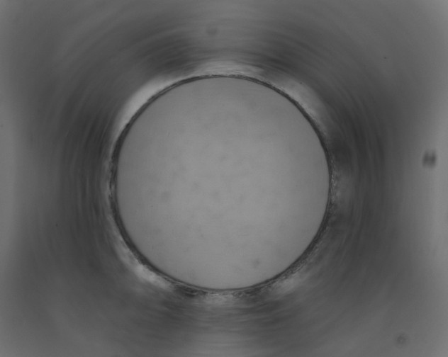 X0000092111094200710101138