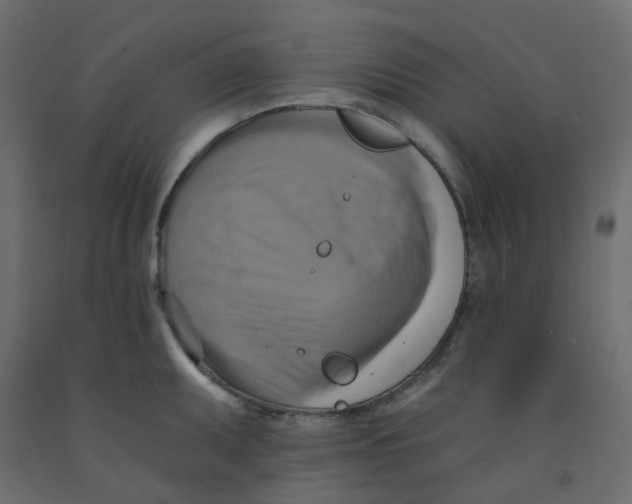 X0000092111095200710101138