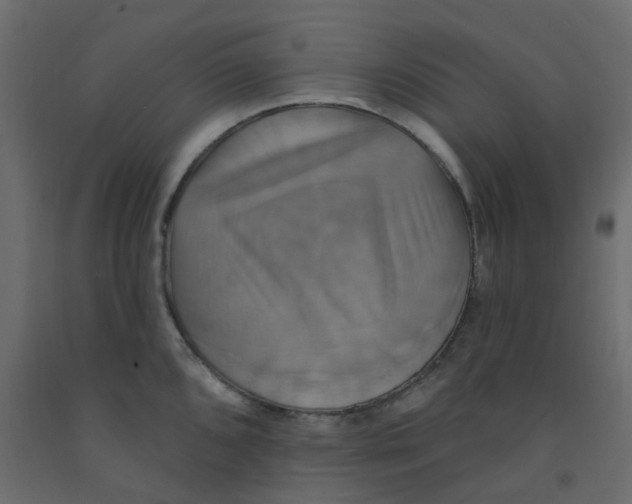 X0000092111096200710101138