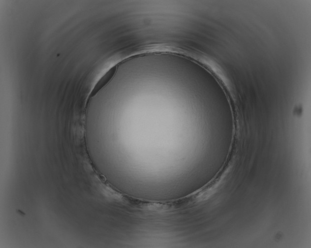 X0000092111097200710101138