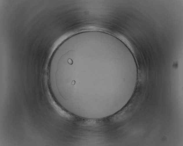 X0000092111098200710101138