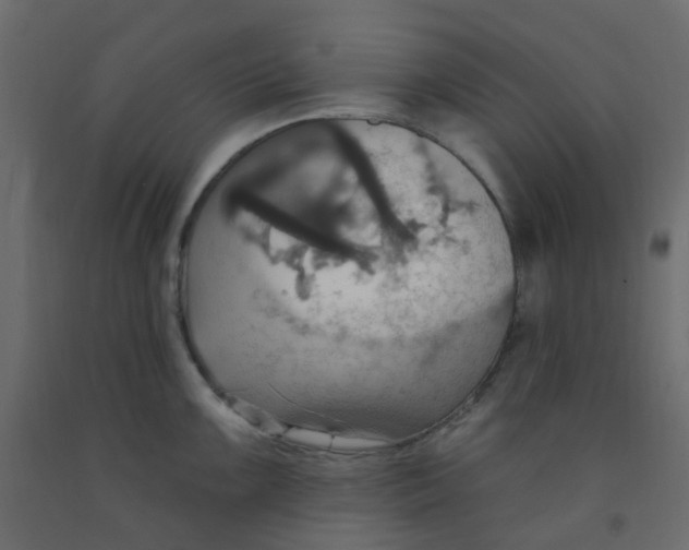 X0000092111099200710101138