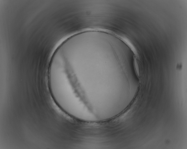 X0000092111100200710101138