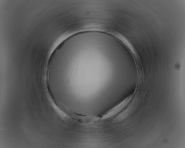 X0000092111101200710101138