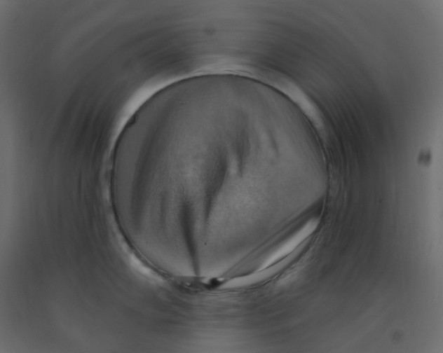 X0000092111102200710101138