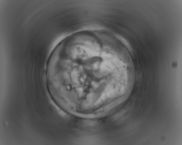 X0000092111103200710101138