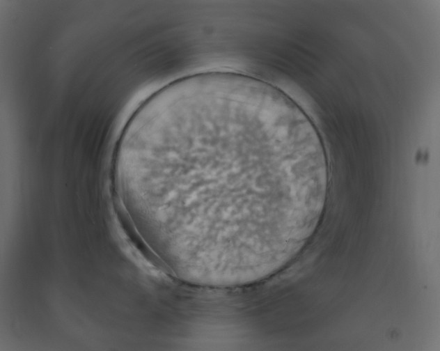 X0000092111104200710101138