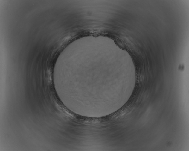 X0000092111106200710101137