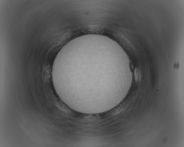X0000092111107200710101137